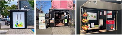 Development and implementation of a community health literacy hub, ‘Health Kiosk'—A grassroots innovation
